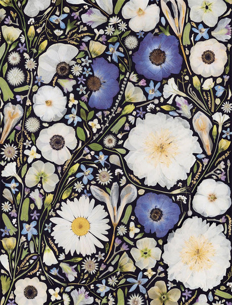 Beautiful Blooms Wrapping Paper Book (Artisan) (PB)
