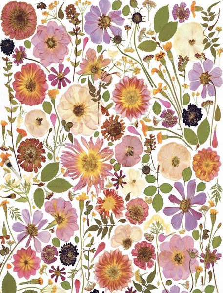Beautiful Blooms Wrapping Paper Book (Artisan) (PB)