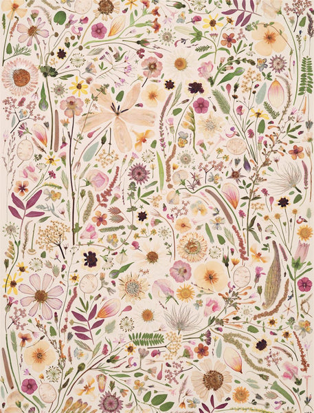 Beautiful Blooms Wrapping Paper Book (Artisan) (PB)