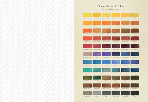 Collage Compendium (PB)