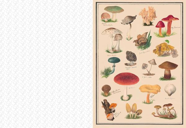 Collage Compendium (PB)