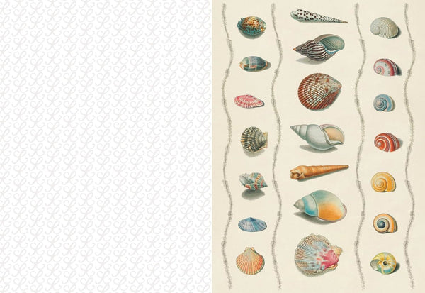 Collage Compendium (PB)