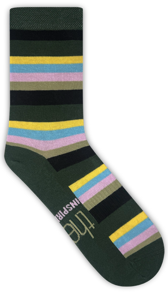 WI Night Stripe Socks