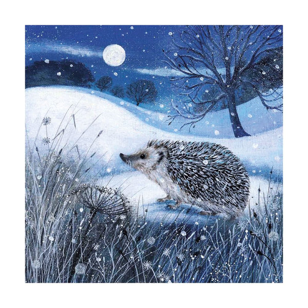20 Luxury Dusk and Dawn Christmas Cards