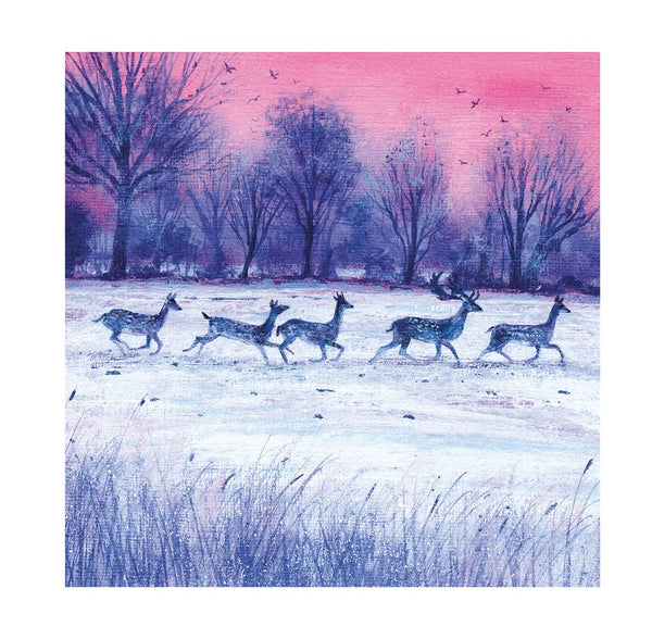 20 Luxury Dusk and Dawn Christmas Cards