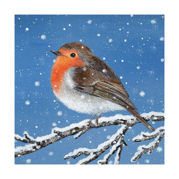 20 Luxury Dusk and Dawn Christmas Cards