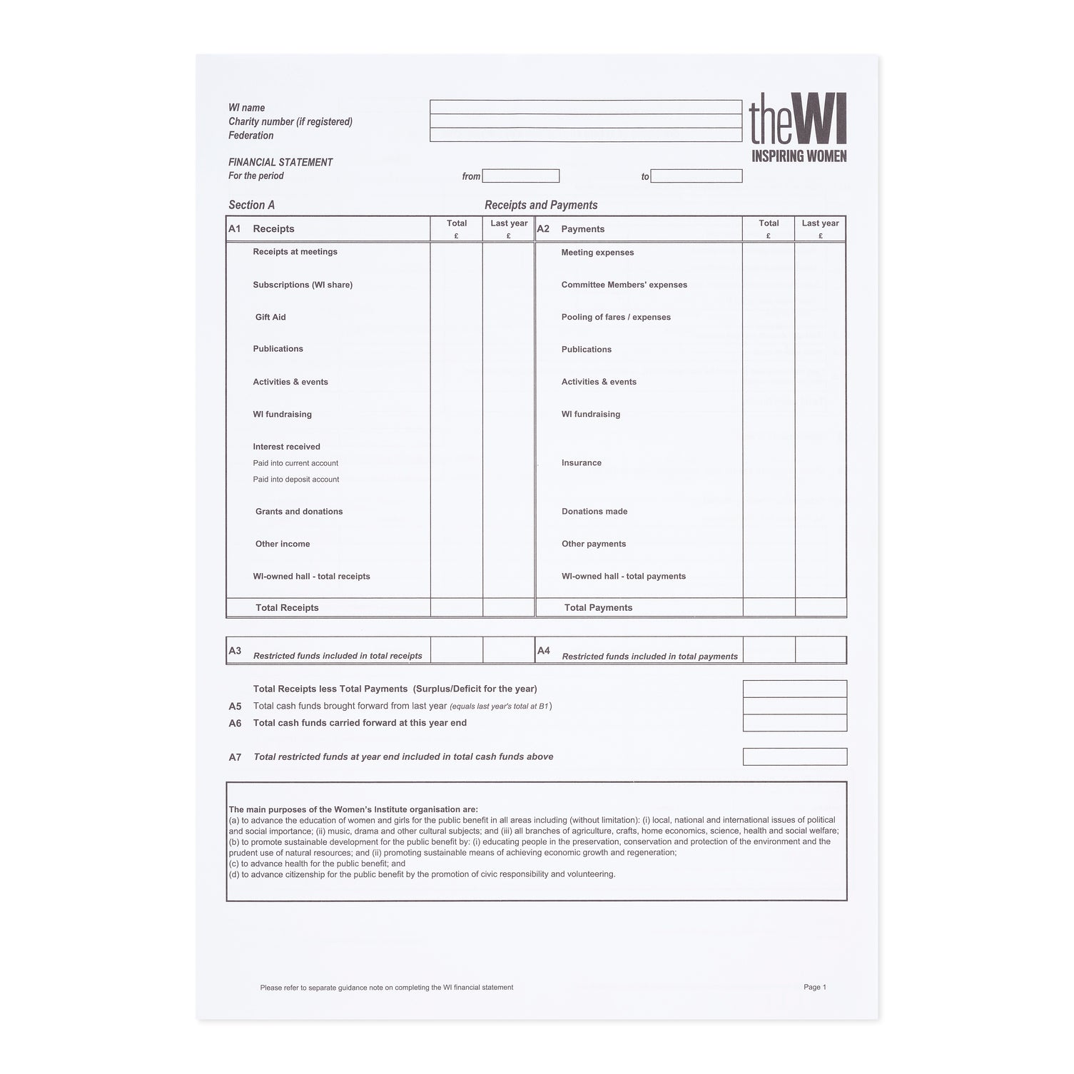 Annual Financial Statement (pack of 100)